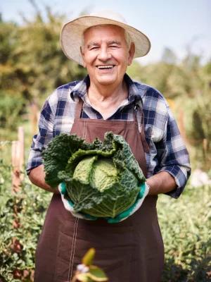 hombre cocecha trabajando verduras maquinaria